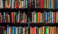 La titular de la SEP destacó que el objetivo de la Biblioteca Centenaria es llevar la lectura más allá del contexto escolar