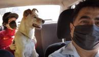 Taxista de la CDMX permite a sus pasajeros viajar con sus mascotas y se vuelve viral en Twitter.