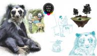 Miel, una alternativa para rescatar de la extinción al oso de anteojos