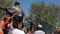 Un grupo de comuneros logró derribar este lunes la estatua de Fray Antonio de San Miguel en la ciudad de Morelia, en el estado de Michoacán.