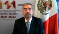Juan Ramón de la Fuente, embajador de México ante la Organización de las Naciones Unidas