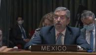 Juan Ramón de la Fuente, representante permanente de México ante la ONU