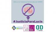 Con el hashtag #JusticiaParaLucía, organizaciones como el Observatorio Ciudadano Nacional del Feminicidio y usuarios de redes sociales exigen que el feminicidio de Lucía Delgado no quede impune.
