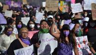 Muy concurrida estuvo la marcha de ayer en Toluca, capital del Estado de México.