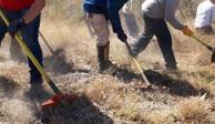 Supervisan trabajos de prevención de incendios forestales en Álvaro Obregón