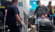 Tres unidades caninas apoyarán a los oficiales en tareas de inspección de equipajes y mercancías de pasajeros, "en busca de productos regulados por Agricultura"