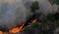 Conafor reportó 44 incendios activos en el país.