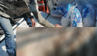 Difunden fotografía del tigre sacrificado por policías en Querétaro