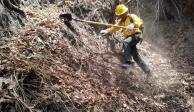 La Comisión Nacional Forestal informó que hasta las 11:00 horas de este sábado se reportan 39 incendios forestales activos en territorio nacional