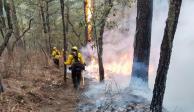 La Comisión Nacional Forestal reportó 66 incendios forestales activos