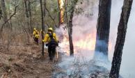 Combatientes realizan labores para controlar y sofocar el incendio forestal registrado en&nbsp;el área natural protegida Cumbres de Monterrey, en Nuevo León.&nbsp;