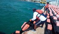 Instalan barreras de contención antisargazo en Playa del Carmen, Puerto Morelos y Mahahual