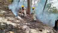 México registra 51 incendios forestales activos este sábado