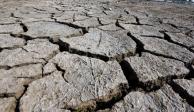 Conagua reporta "sequía anormal" en la CDMX; más del 60% de la capital se encuentra en esta condición