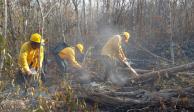 Incendios forestales en el país disminuyen 18%: Conafor