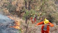 Incendios forestales en México aumentan 3% en 24 horas
