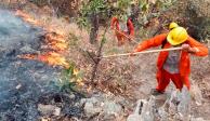 Brigadista atendiendo un incendio forestal