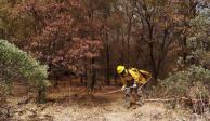 Un brigadista realiza labores en el Parque Tutuaca, en Sonora, donde el incendio forestal ha sido controlado al 100 por ciento.
