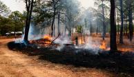 Este viernes hay 89 incendios forestales activos en México