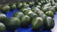 Productores de aguacate y mango sortean más retos: clima extremo y sequía