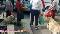 Perrito ayuda a mujer a vender comida en Perú; video enternece a usuarios de redes.