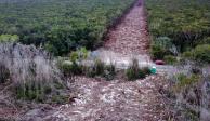 Juez pone freno al tramo 5 del Tren Maya... y ven litigio para largo