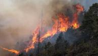 Incendios forestales en México disminuyen 49%