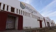 En días pasados, Segalmex anunció la compra de 521 mil toneladas de maíz para garantizar el abasto del grano, como parte del Paquete Contra la Inflación y Carestía.