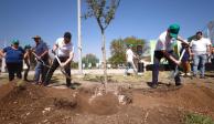 Monterrey va por 50 mil árboles para combatir sequía y planchas de calor.