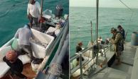 Semar asegura 77 kilos de tiburón en Campeche, tras inspección de una embarcación