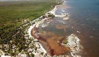 Vista aérea del sargazo en la playa Punta de Piedra, en Tulum, en mayo pasado.