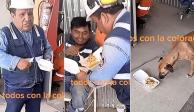 Grupo de trabajadores peruanos "dona" comida a lomito; gesto conmueve a usuarios en TikTok.