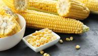 México estudia acuerdos para importar maíz no modificado genéticamente, ante prohibición prevista para 2024.