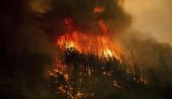 Las llamas del Incendio McKinney consumen árboles a lo largo de la Carretera 96 ​​de California, hecho que se registró en meses pasados.