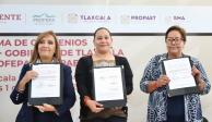 Semarnat y gobierno de Tlaxcala acuerdan acciones para combatir la tala clandestina.
