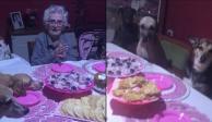 Abuelita celebra su cumpleaños 89 en compañía de sus diez perritos. Foto: Especial