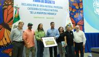 Decretan en Tamaulipas primer Área Natural Protegida para preservar la ruta migratoria de la Mariposa Monarca.