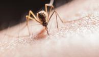 México trabaja con mejores estrategias para el control del dengue