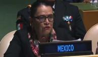 La secretaria de Seguridad y Protección Ciudadana, Rosa Icela Rodríguez