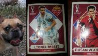 Niño ofrece estampas de Messi y Vlahovic para recuperar un lomito robado