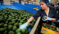 Emiratos Árabes, interesado en aumentar importaciones de agroalimentos mexicanos como mango y aguacate