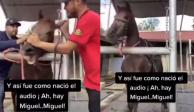 Este es el video original del audio viral Ay Miguel de TikTok
