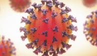 Virólogos vigilan nuevas variantes de Covid-19