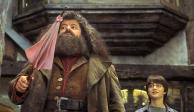 ¿Por qué Hagrid tenía prohibido hacer magia en el mundo de Harry Potter?