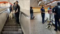 Sacan del Metro CDMX a perritos de asistencia para personas con discapacidad (VIDEO).