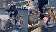 Perrito ayuda a su dueño a vender tamales a bordo de un scooter; VIDEO se hace viral.
