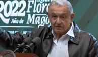 Sigue la corrupción, pero solo da mordiditas y no los tarascones del pasado: AMLO