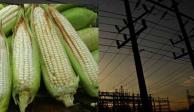 EU pide a México avanzar rápido en diferencias sobre energía y exportaciones de maíz