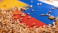 Kiev promueve plan de cereales en favor de personas vulnerables