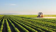Sector agroalimentario con superávit de 7 mil 271 mdd en 2022; es menor en 15.3% a 2021